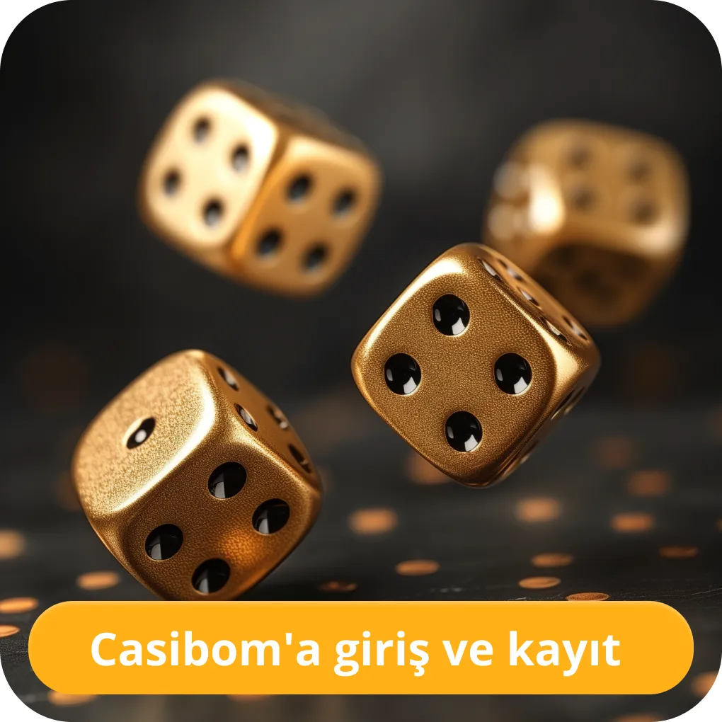 Casiboom hesabına giriş yapın Casiboom login